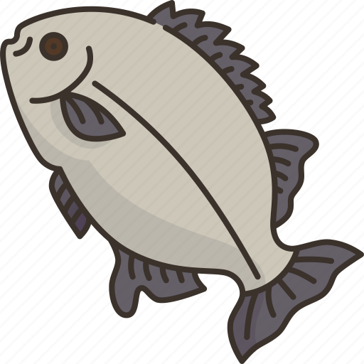 Fish, galjoen, marine, animal, africa icon - Download on Iconfinder