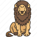 lion, wildlife, animal, carnivore, safari