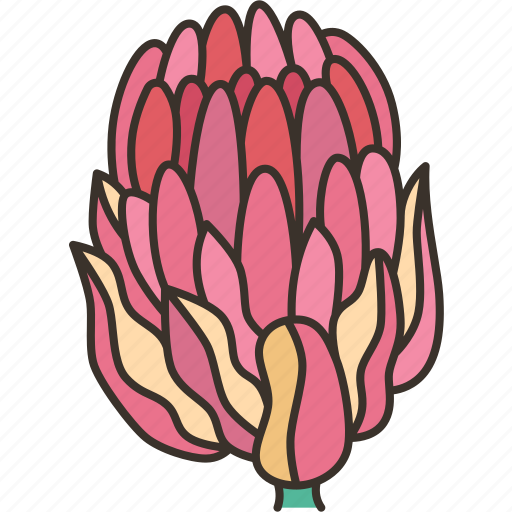 Protea, flower, blossom, plant, botanical icon - Download on Iconfinder
