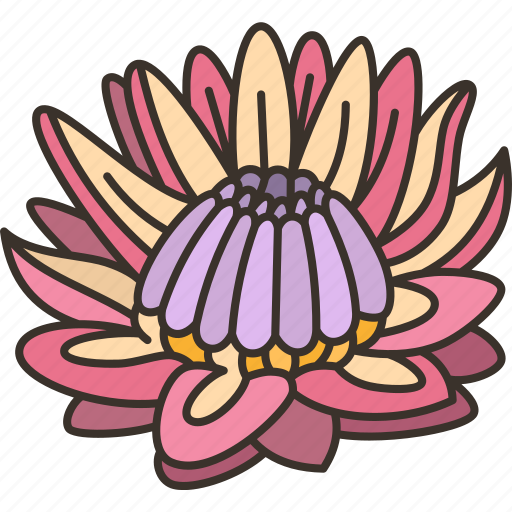 Protea, cynaroides, africa, national, flower icon - Download on Iconfinder