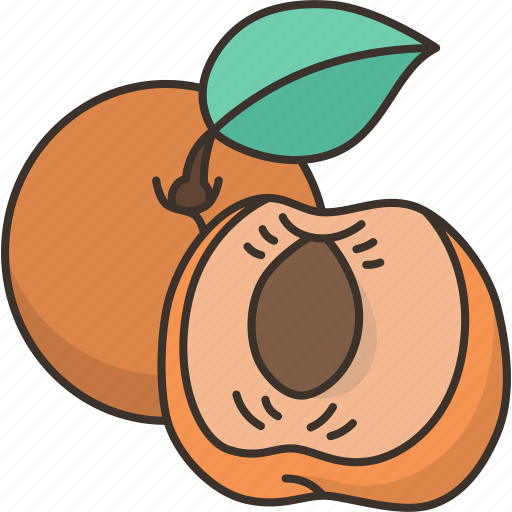 Apricot, fruit, dessert, food, juicy icon - Download on Iconfinder