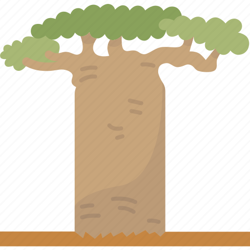 Baobab, tree, plant, tropical, nature icon - Download on Iconfinder