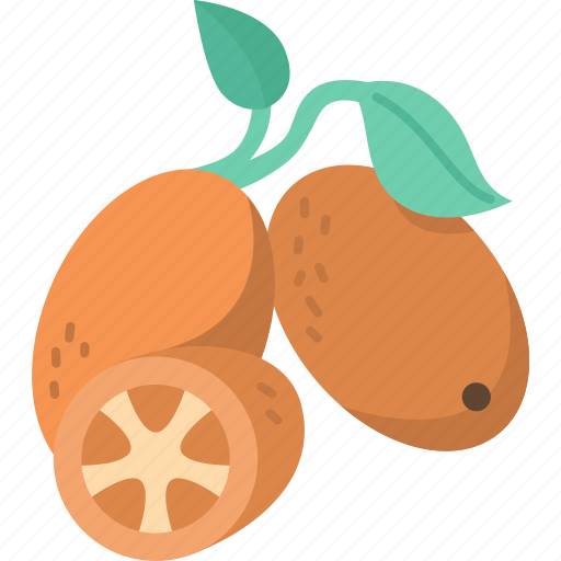 Kumquat, mandarin, citrus, tangerine, fruit icon - Download on Iconfinder