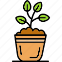 plant, green, grow, growing, soil