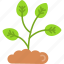 sprout, environment, growing, nature, plant 