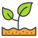 sprout, plant, ecology, agriculture