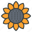 sunflower, spring, flower, floral, sun 