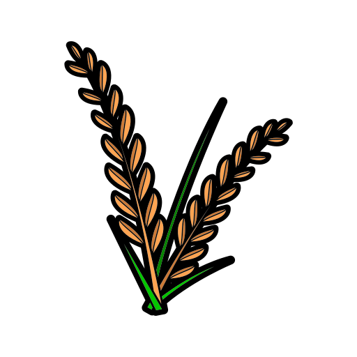 Agriculture, paddy icon - Free download on Iconfinder