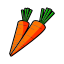 agriculture, carrot 