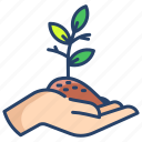 give, plant