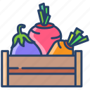 vegetables, box