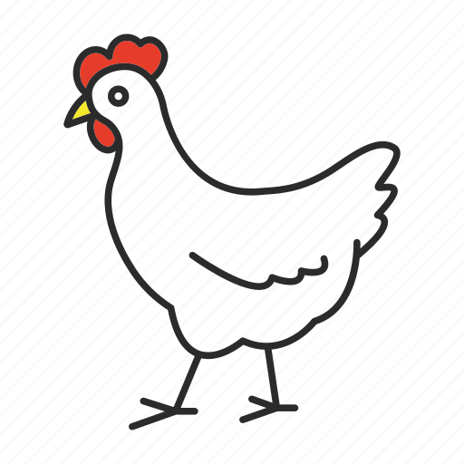 Animal, chicken, domestic, egg, farming, hen, poultry icon - Download on Iconfinder