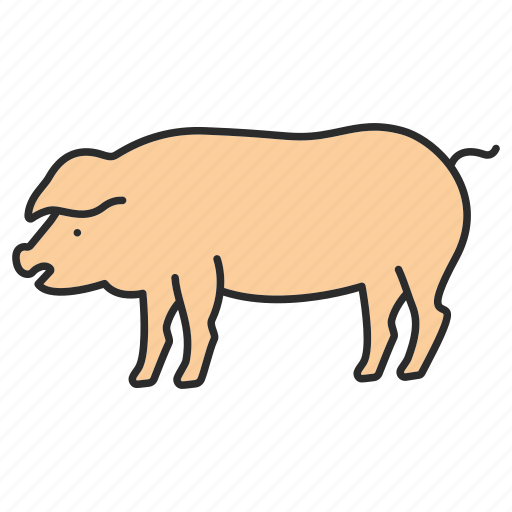 Animal, domestic, meat, pig, piggy, piglet, pork icon - Download on Iconfinder