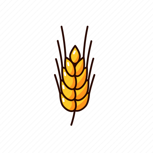 Barley, cereals, crop, agriculture, ear icon - Download on Iconfinder
