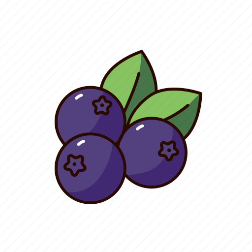 Blueberry, bilberry, huckleberry, berry, food, healthy icon - Download on Iconfinder