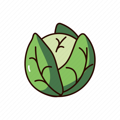 Cabbage, vegetable, food, healthy, cooking icon - Download on Iconfinder
