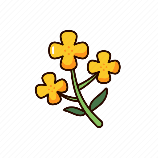 Canola, oilseed rape, oil, crop, agriculture, rapeseed, fuel icon - Download on Iconfinder