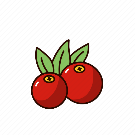 Cranberry, sauce, berry, drink, healthy, juice icon - Download on Iconfinder