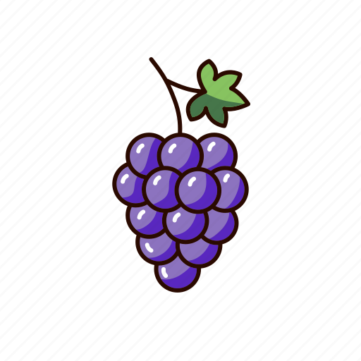 Grape, wine, juice, fruit, raisins, currants icon - Download on Iconfinder