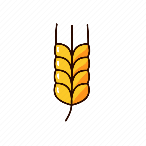 Rye, cereal, ear, crop, farming, agronomy icon - Download on Iconfinder