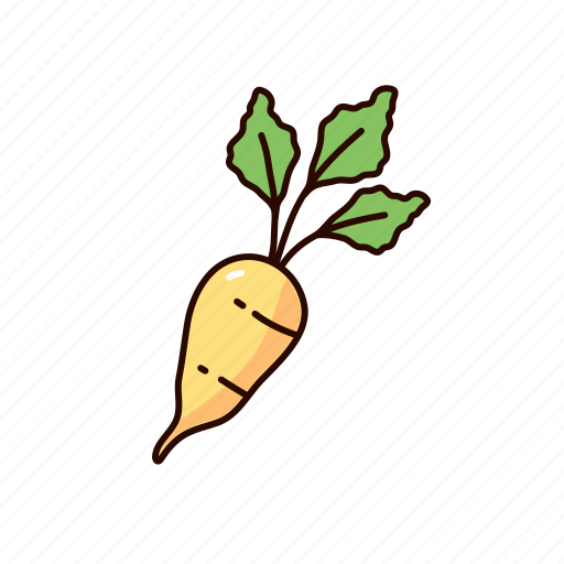 Sugar, beet, sucrose, root, crop, sweet icon - Download on Iconfinder