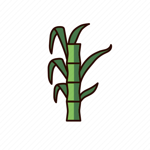 Sugar, sugar cane, sugarcane, natural, agriculture icon - Download on Iconfinder