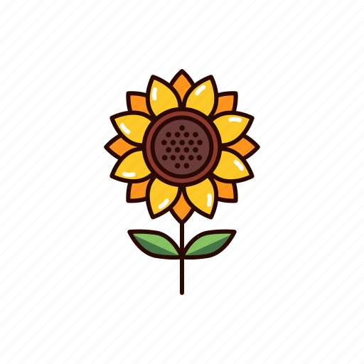 Sunflower, oil, flower, forb, seed, blossom, garden icon - Download on Iconfinder