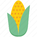 agriculture, corn, farming, garden, nature