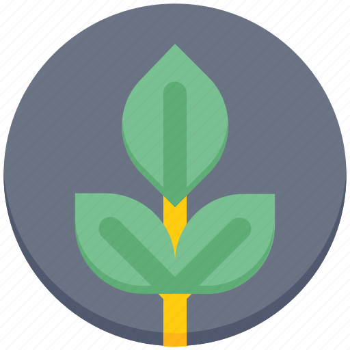 Agriculture, farming, garden, gardening, leaf, plant, seed icon - Download on Iconfinder