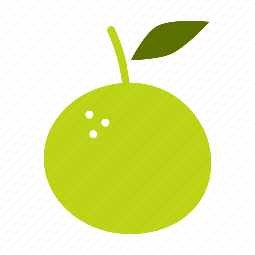 Citrus, food, fruit, juicy, orange, tropical icon - Download on Iconfinder