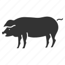 animal, domestic, meat, pig, piggy, piglet, pork