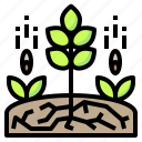 agriculture, ecology, intelligence, nature, plant, seed
