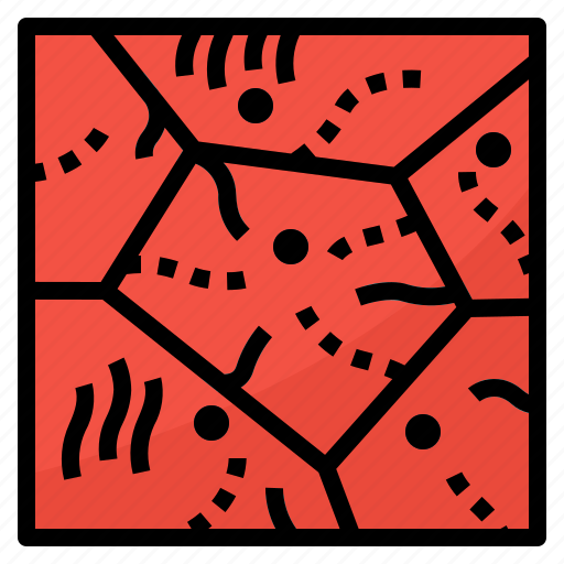 Alveoli, cells, particle, walls icon - Download on Iconfinder