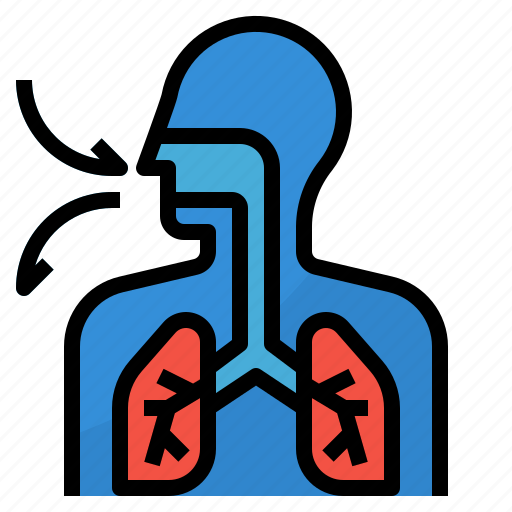 Anatomy, biological, respiratory, system icon - Download on Iconfinder