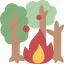 forest, wildfire, disaster, burn, natural 