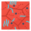 alveoli, cells, particle, walls 