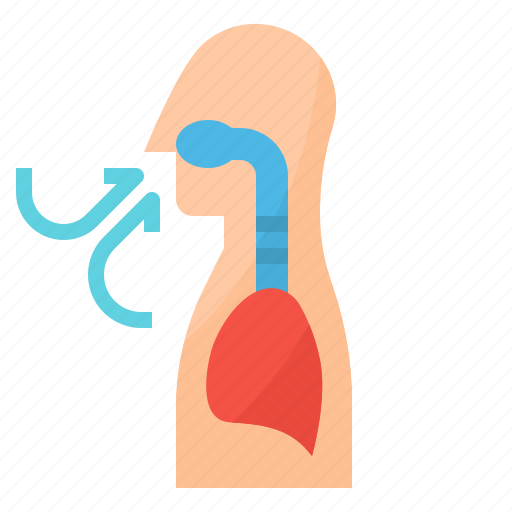 Breathe, cancer, lung, respiratory icon - Download on Iconfinder