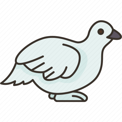 Bird, willow, ptarmigan, animal, wildlife icon - Download on Iconfinder