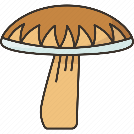 Mushroom, boletus, edible, diet, gourmet icon - Download on Iconfinder