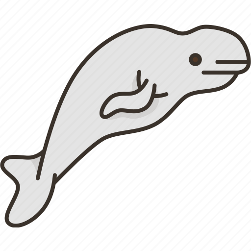 Whale, beluga, mammal, marine, arctic icon - Download on Iconfinder
