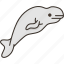 whale, beluga, mammal, marine, arctic 