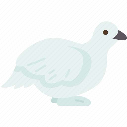 Bird, willow, ptarmigan, animal, wildlife icon - Download on Iconfinder