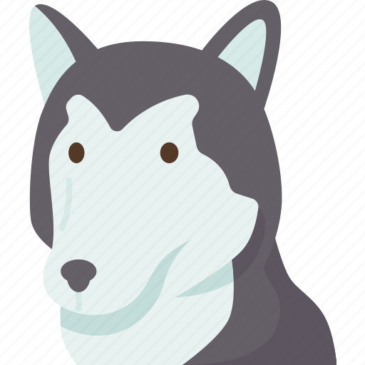 Dog, alaskan, malamute, breed, pet icon - Download on Iconfinder