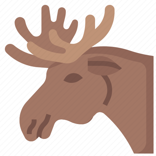 Moose, wild, life, animal, kingdom, mammal, zoo icon - Download on Iconfinder