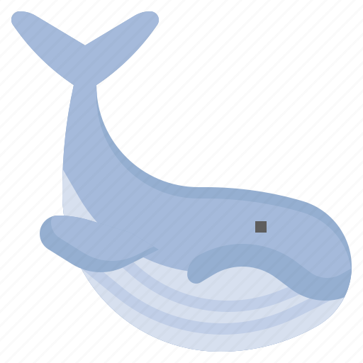 Whale, wildlife, sea, life, nature, animals icon - Download on Iconfinder