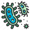 bacteria, microbe, virus, infection, disease
