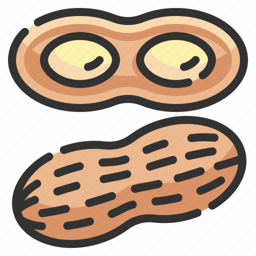 Nuts, peanut, snack, peanuts, vegetarian icon - Download on Iconfinder