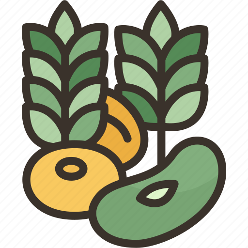 Allergy, lupins, protein, legume, food icon - Download on Iconfinder