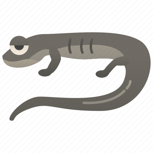 Ambystoma, animal, jefferson, mole, salamander icon - Download on Iconfinder