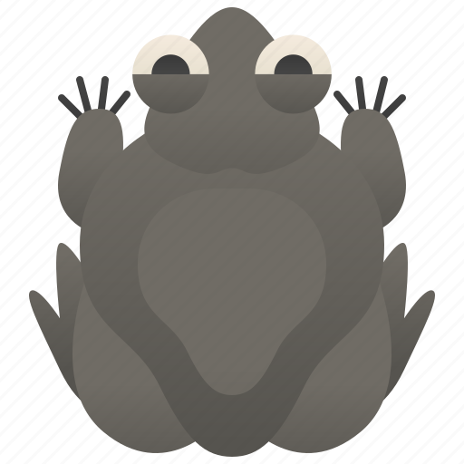 Amphibian, asia, frog, pignose, purple icon - Download on Iconfinder